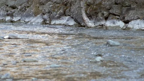 Mountain river. Mountain spring path. flowing water. 库存影片 167138440