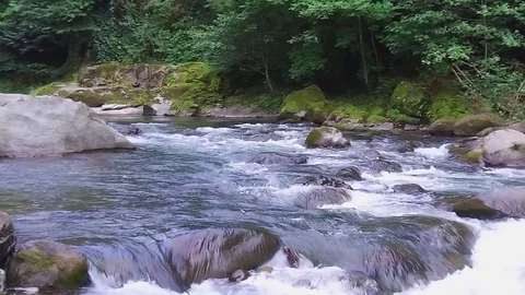 Mountain river mountain summer nature mtirala park Georgia footage slow motion Stock Footage