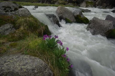 The mountain river in the mountains. Current through the gorge the river. S.. Stock Photos