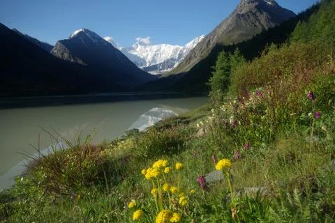 The mountain river in the mountains. Current through the gorge the river. S.. Stock Photos