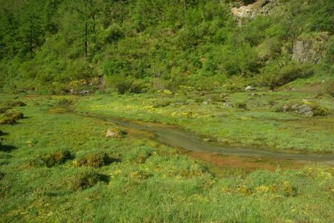 The mountain river in the mountains. Current through the gorge the river. S.. Stock Photos