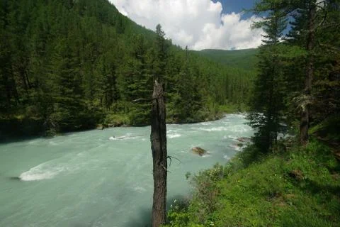 The mountain river in the mountains. Current through the gorge the river. S.. Foto stock