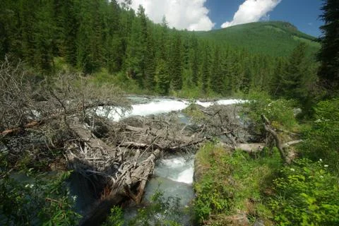 The mountain river in the mountains. Current through the gorge the river. S.. Stock Photos