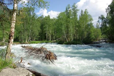 The mountain river in the mountains. Current through the gorge the river. S.. Stock Photos