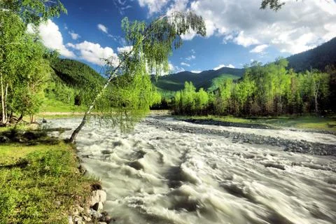 The mountain river in the mountains. Current through the gorge the river. S.. Stock Photos