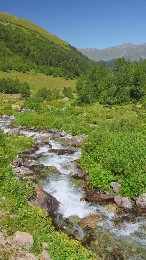 Mountain river in the mountains. Stock Footage 292869545