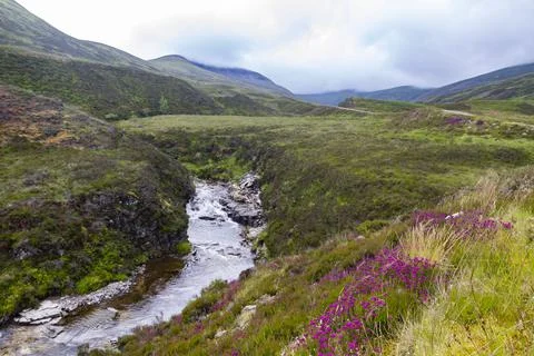 Mountain River in the Mountains Stock Photos
