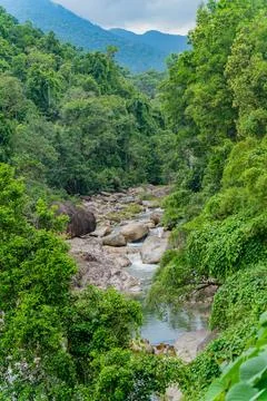 Mountain river in the mountains. Stock Photos
