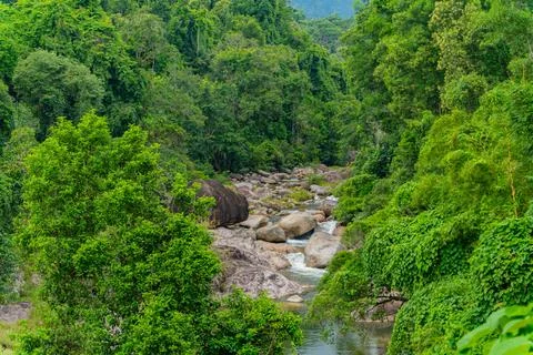 Mountain river in the mountains. Stock-Fotos