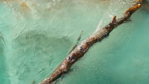 Mountain river, old branch with snow and ice, Caucasus mountains Stock Footage 137592487