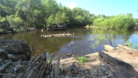 Mountain river, old destroyed bridge Stock Footage 144879292