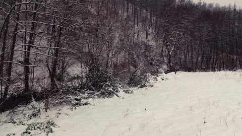 Mountain river passing trough snowy  landscape. Video stock 237774296