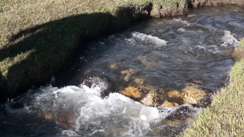 Mountain river in Phobjikha Valley. Bhutan 스톡 동영상 84126124