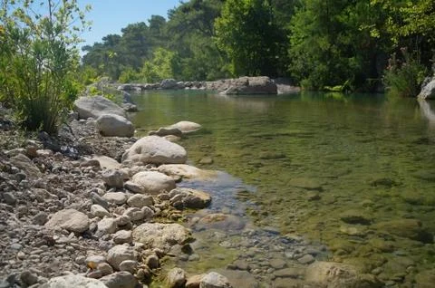 The mountain river. Stock Photos