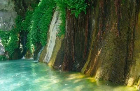 The mountain river. Stock Photos