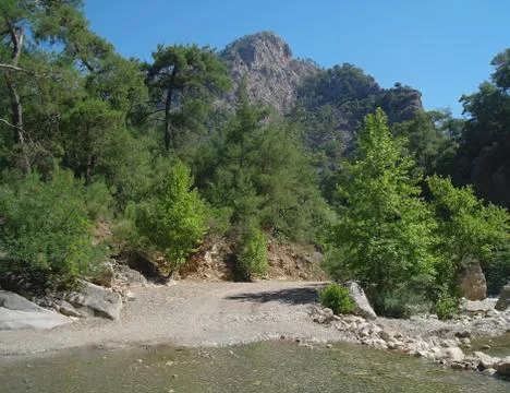 The mountain river. Stock Photos