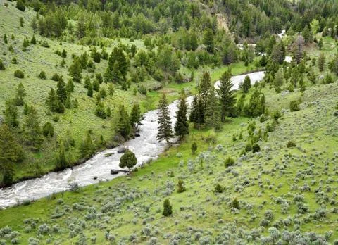 Mountain river Stock Photos