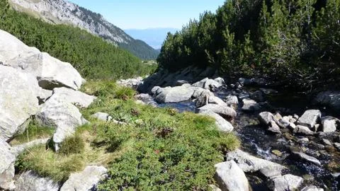 Mountain river Stock Photos