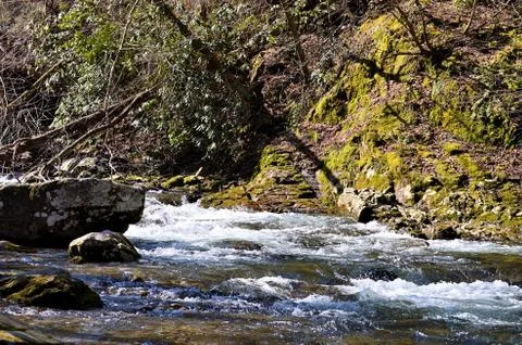 Mountain River Fotos de archivo