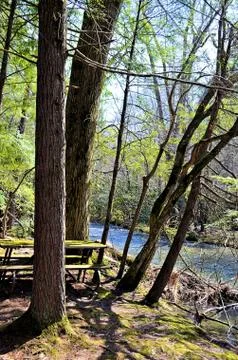 Mountain River Fotos de archivo