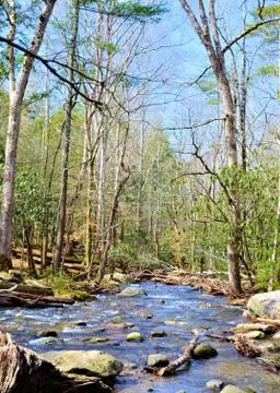 Mountain River 写真素材