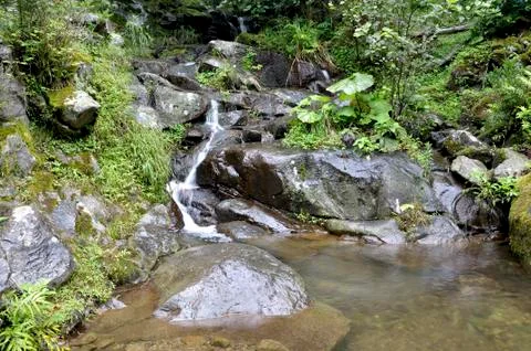 Mountain river Stock Photos