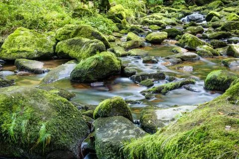 Mountain river Stock Photos