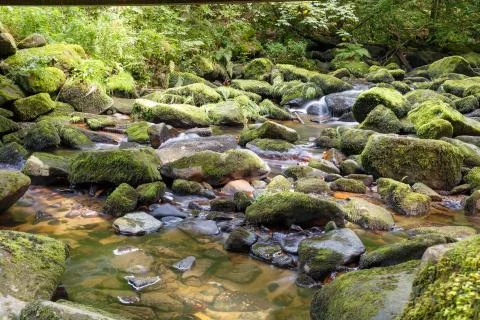 Mountain river Stock Photos