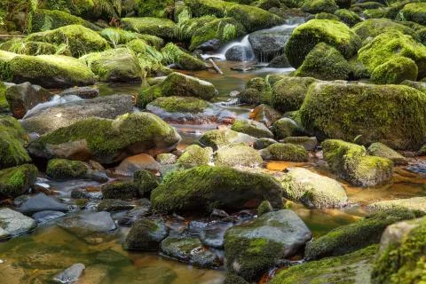 Mountain river Stock Photos