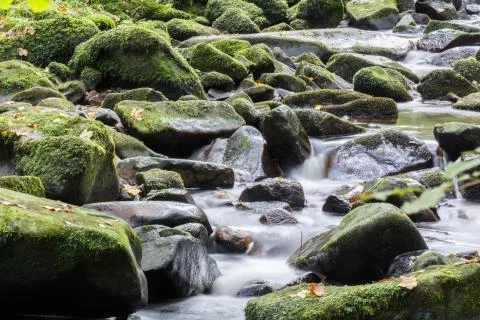 Mountain river Stock Photos