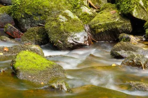 Mountain river Stock Photos