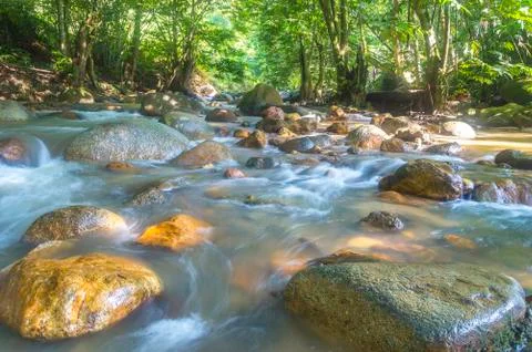 Mountain river Stock Photos