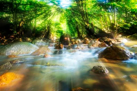 Mountain river Stock Photos