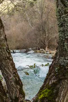 Mountain river Stock Photos