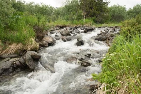 Mountain river Stock Photos