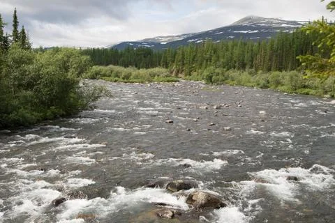 Mountain river Stock Photos