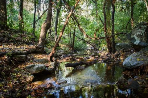 Mountain river Stock Photos