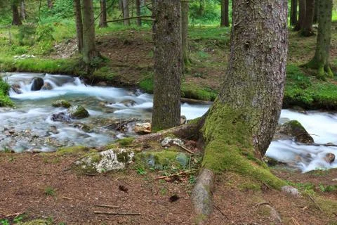 Mountain river Stock Photos