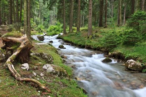 Mountain river Stock Photos