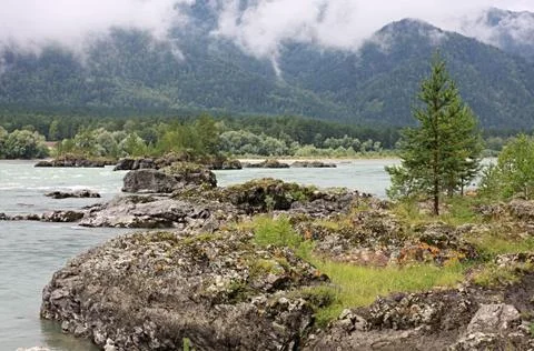 The mountain river Stock Photos