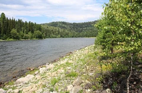 Mountain river. Stock Photos