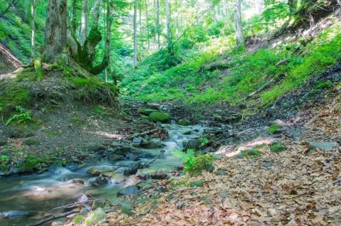 Mountain river Stock Photos