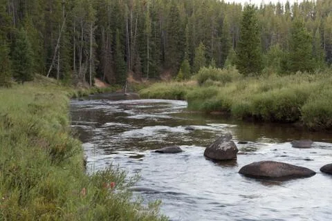 Mountain River Stock Photos