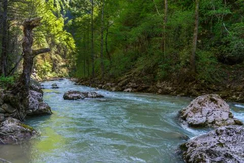 Mountain river Stock Photos