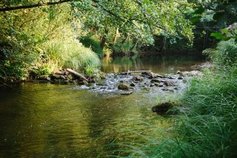 Mountain river Stock Photos
