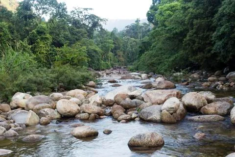 Mountain river Foto stock