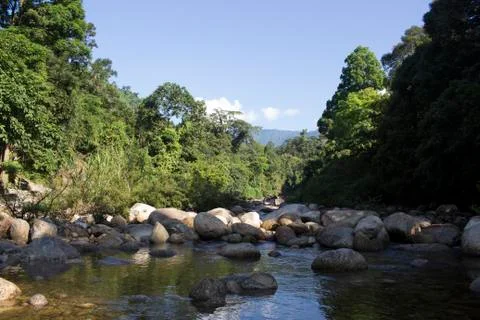 Mountain river Stock Photos