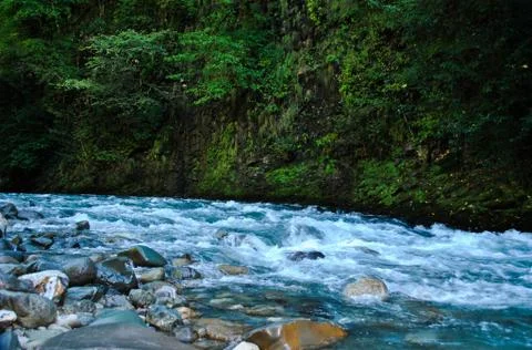 Mountain river. Stock Photos