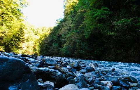 Mountain river. Stock Photos