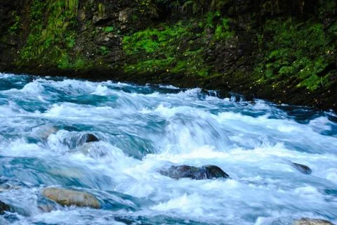 Mountain river. Stock Photos